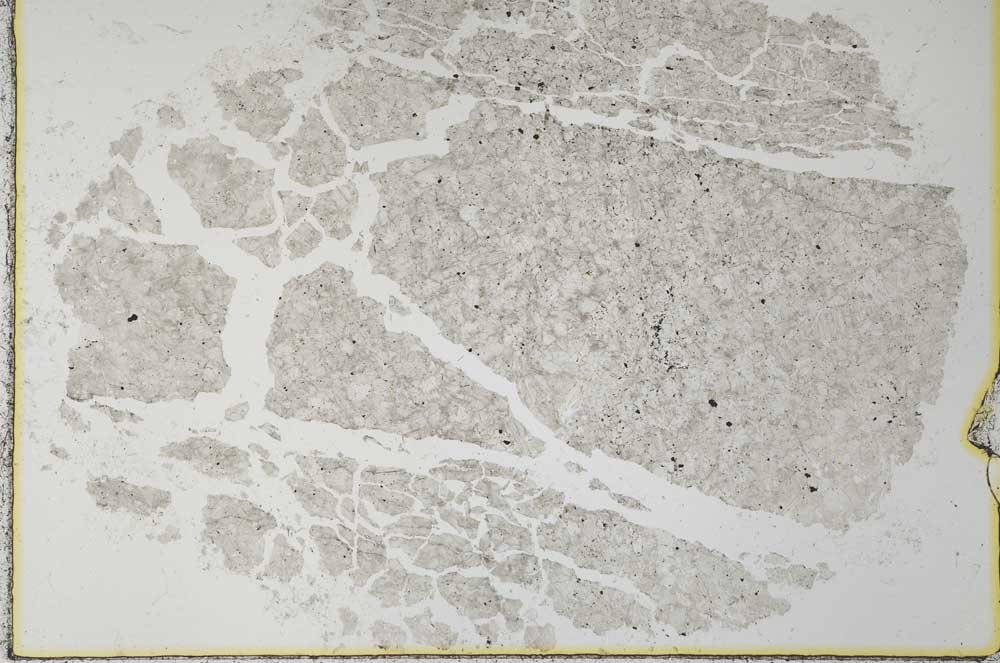 Plane Polarized, S28166