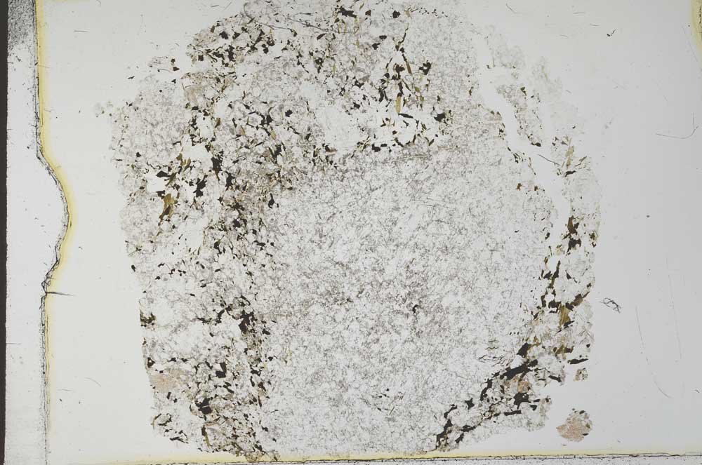 Plane Polarized, S28228