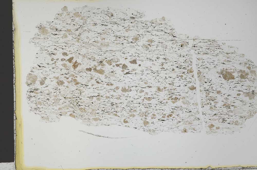 Plane Polarized, S28250