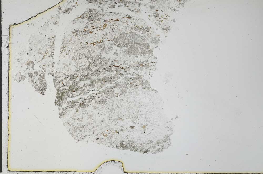 Plane Polarized, S28259