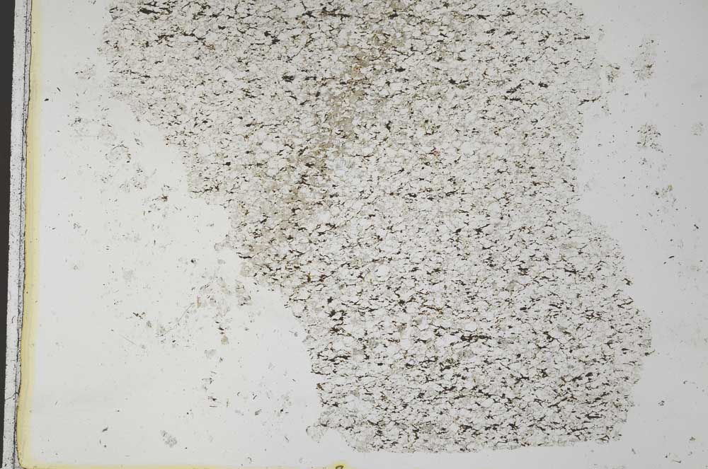 Plane Polarized, S28261