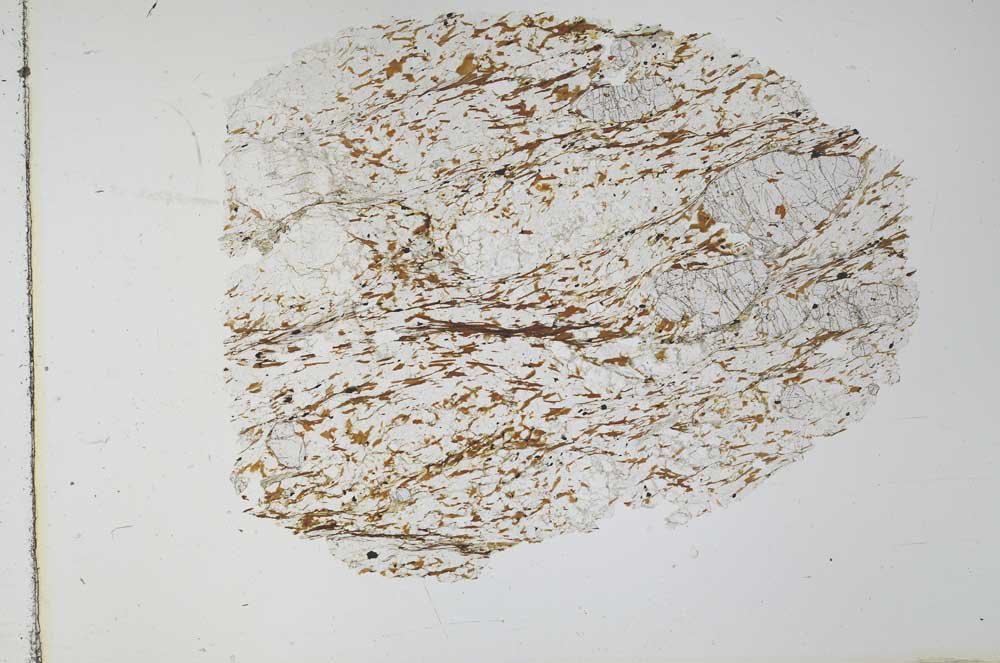 Plane Polarized, S28282