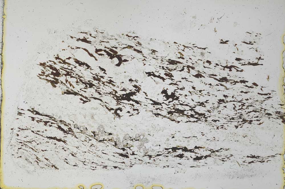 Plane Polarized, S28339