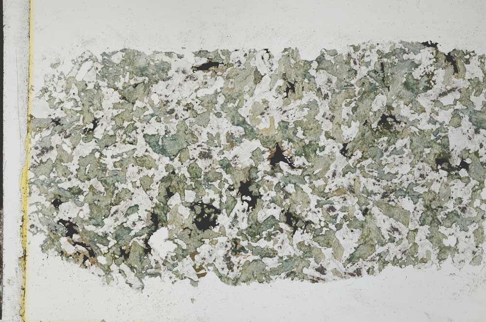 Plane Polarized, S28379
