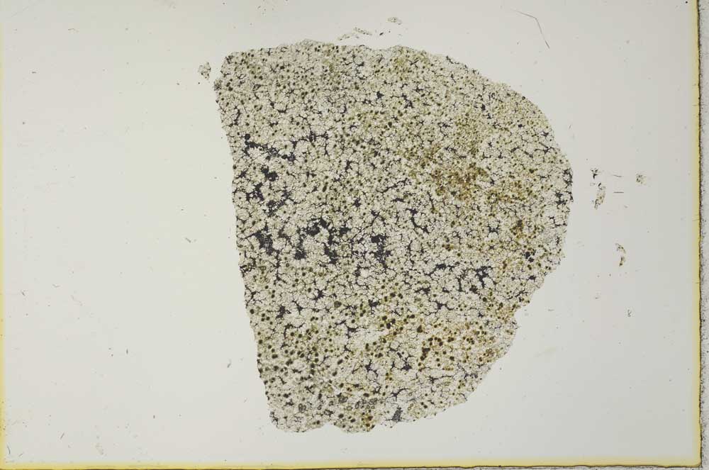 Plane Polarized, S28387