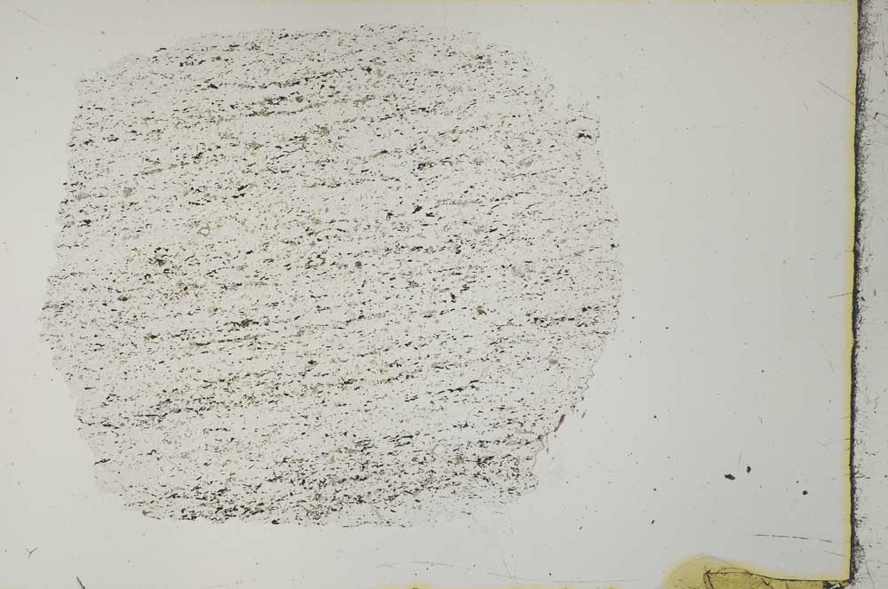 Plane Polarized, S28394