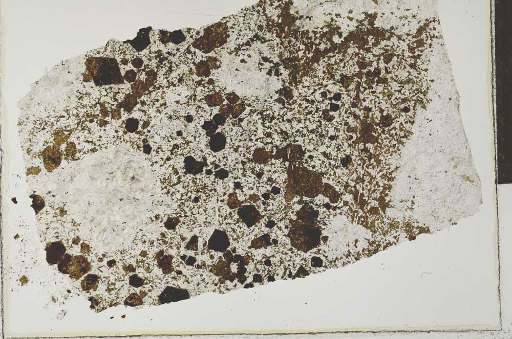 Plane Polarized, S28406