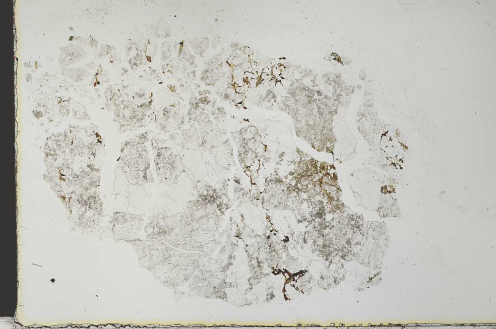 Plane Polarized, S28421