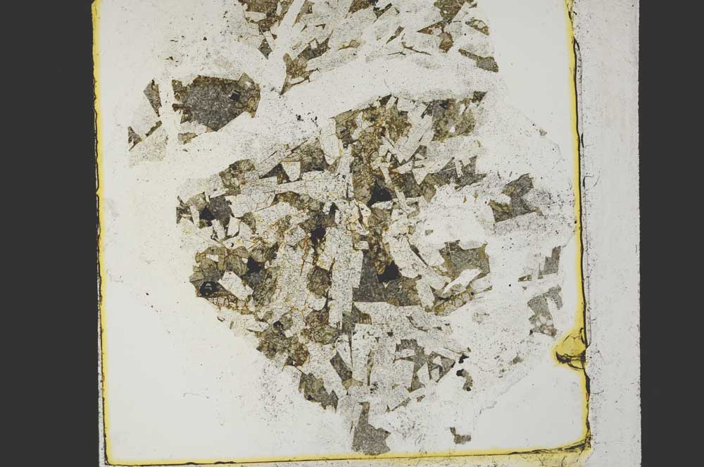 Plane Polarized, S28426