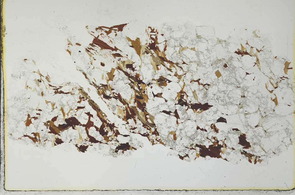 Plane Polarized, S28429