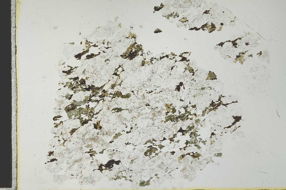 Plane Polarized, S28433
