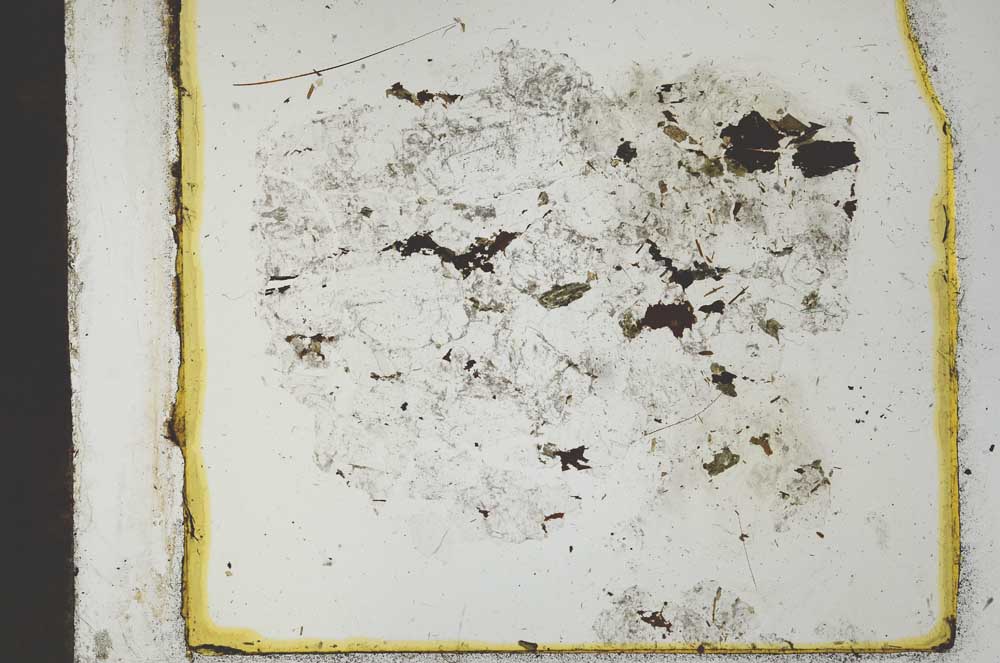 Plane Polarized, S28448