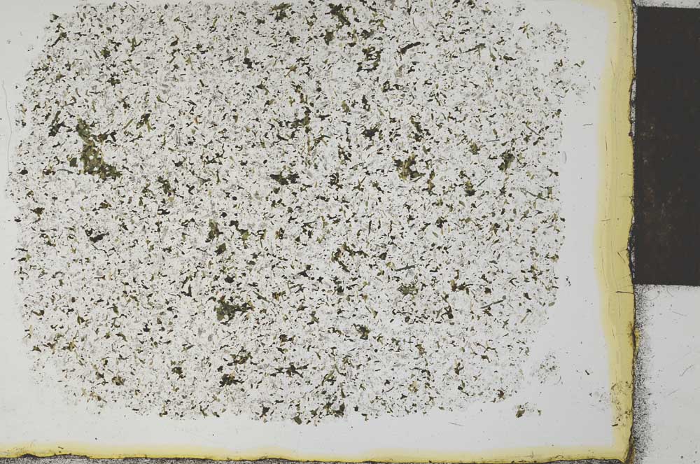 Plane Polarized, S28456