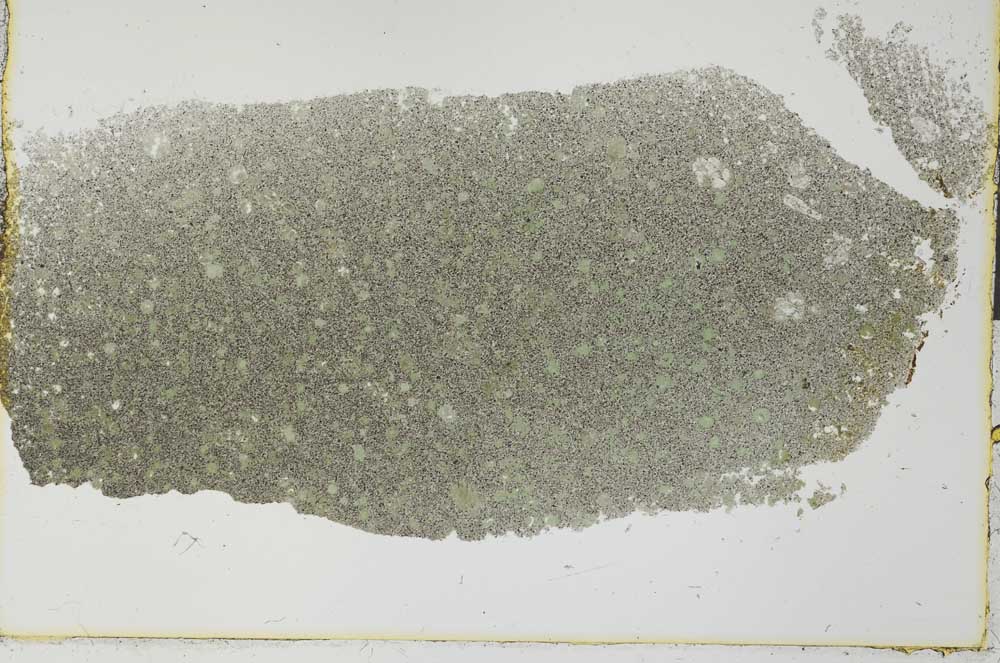 Plane Polarized, S28465