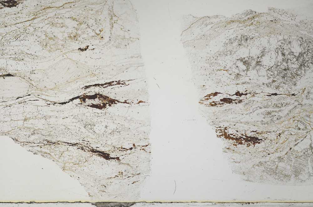 Plane Polarized, S28478/A