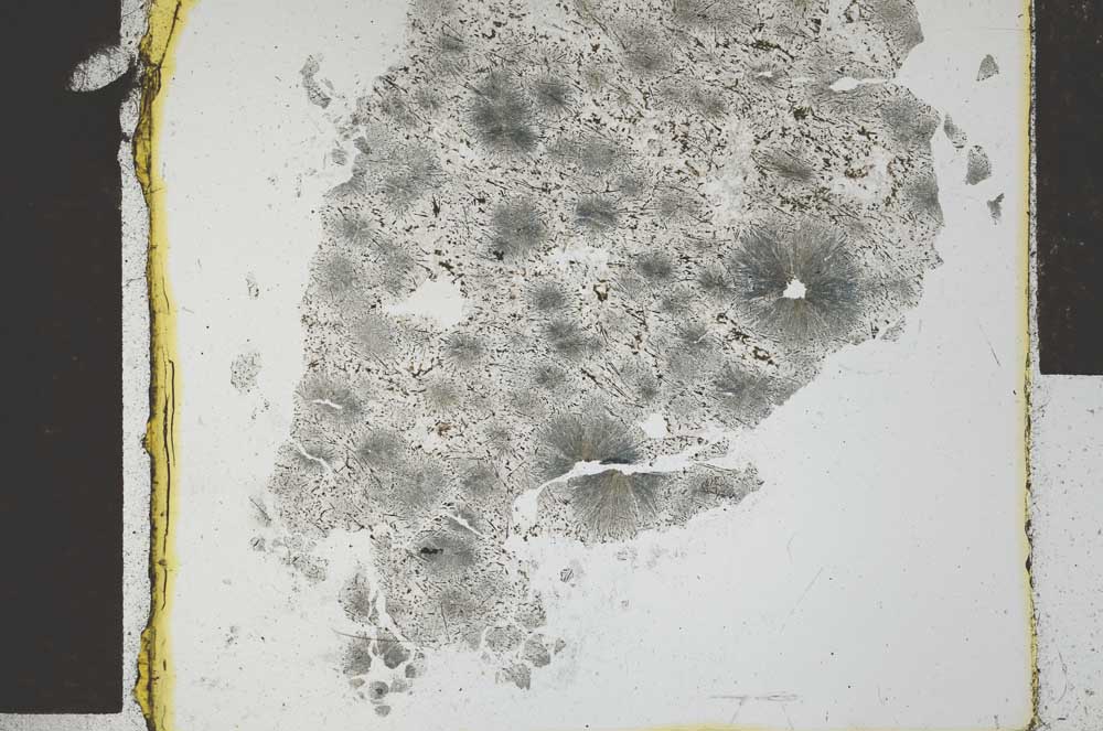 Plane Polarized, S28515