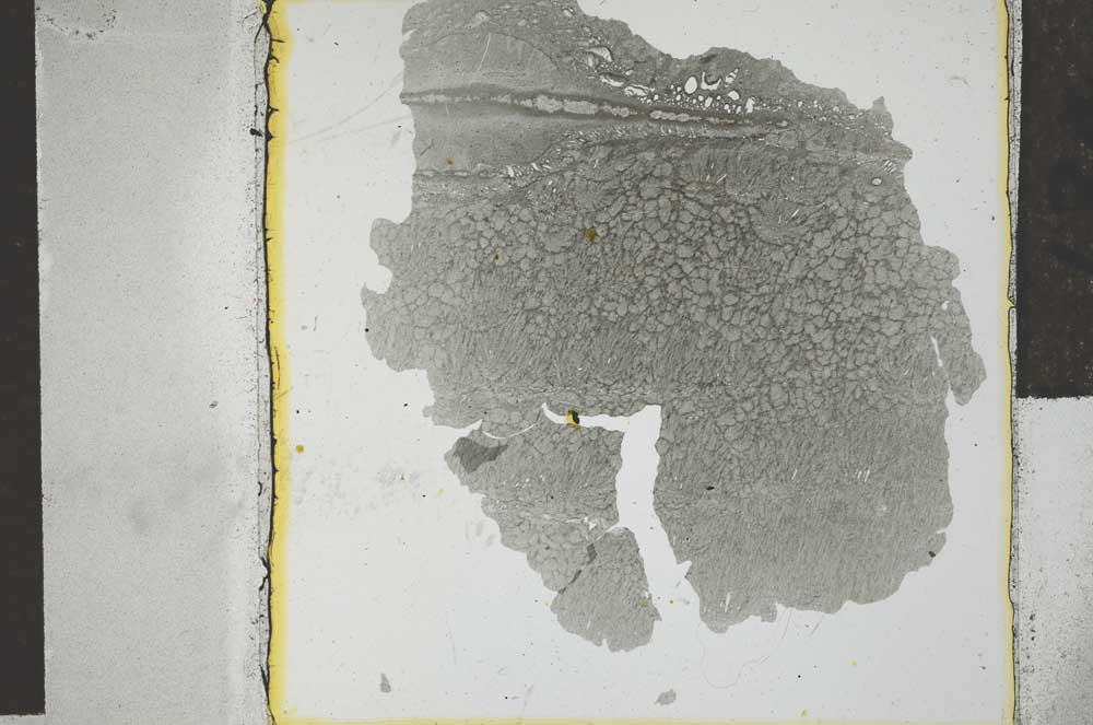 Plane Polarized, S28518
