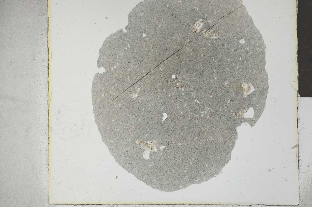 Plane Polarized, S28519