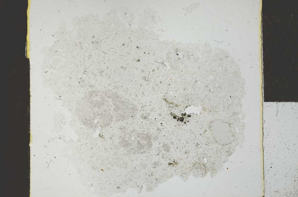 Plane Polarized, S28522