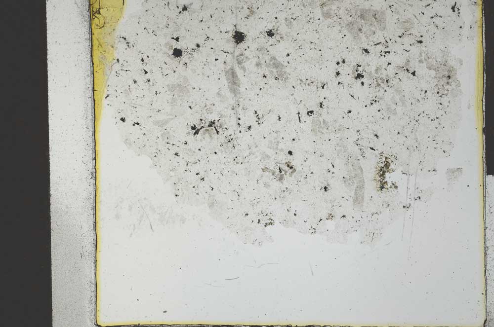 Plane Polarized, S28530