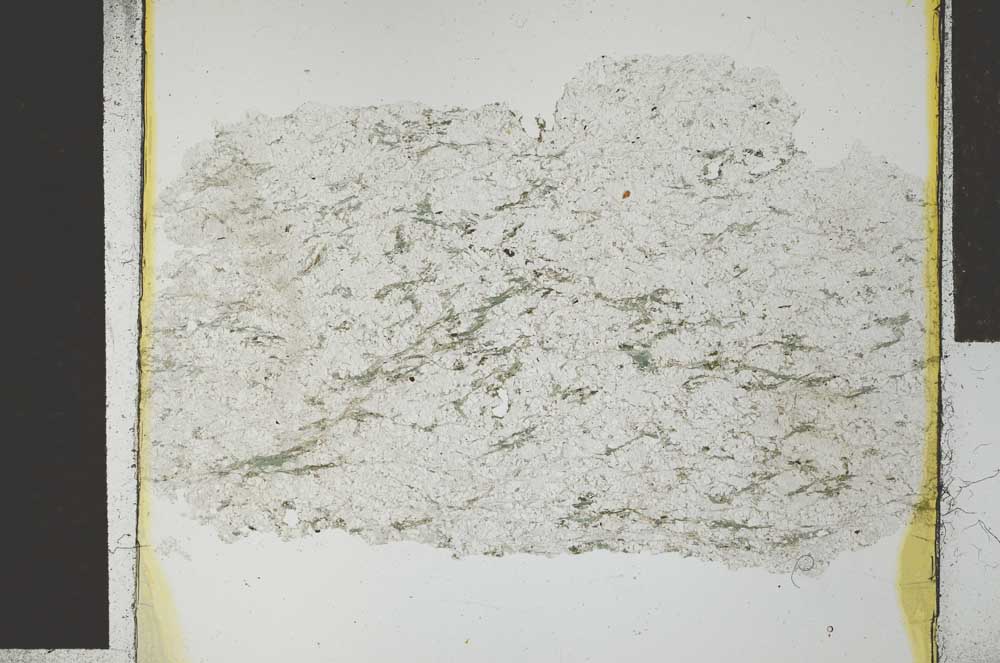 Plane Polarized, S28546