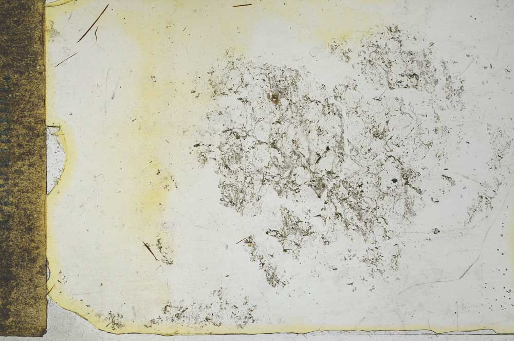 Plane Polarized, S28548