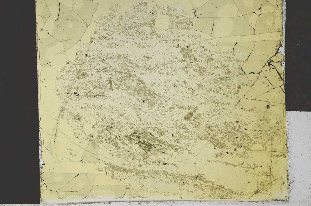 Plane Polarized, S28549