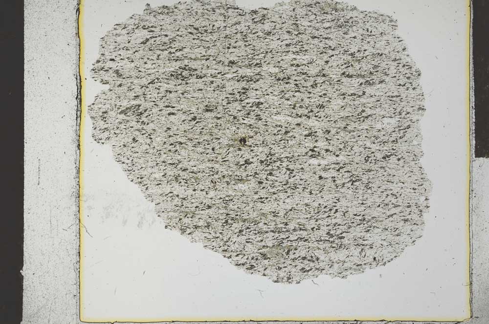 Plane Polarized, S28557