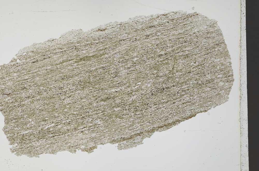 Plane Polarized, S28558/A