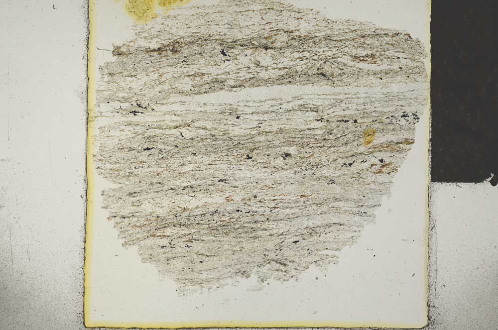 Plane Polarized, S28561