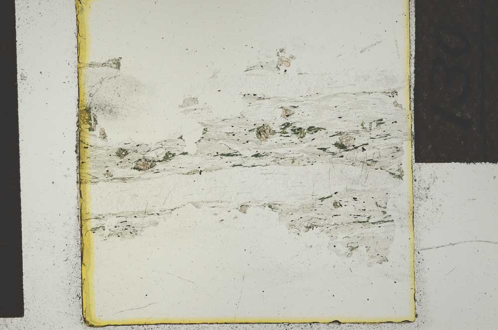Plane Polarized, S28568