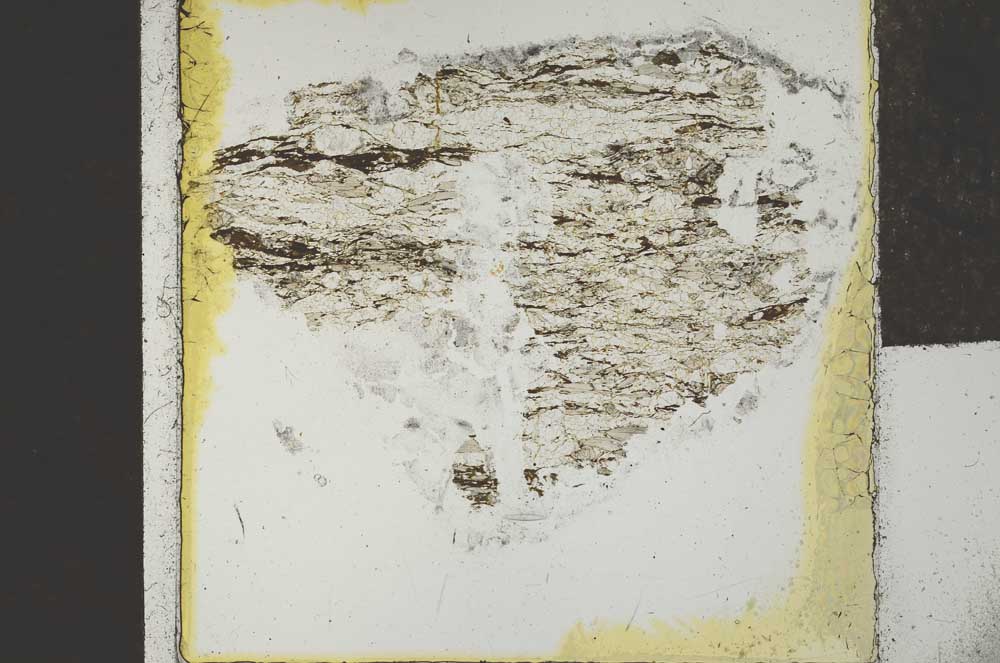 Plane Polarized, S28570