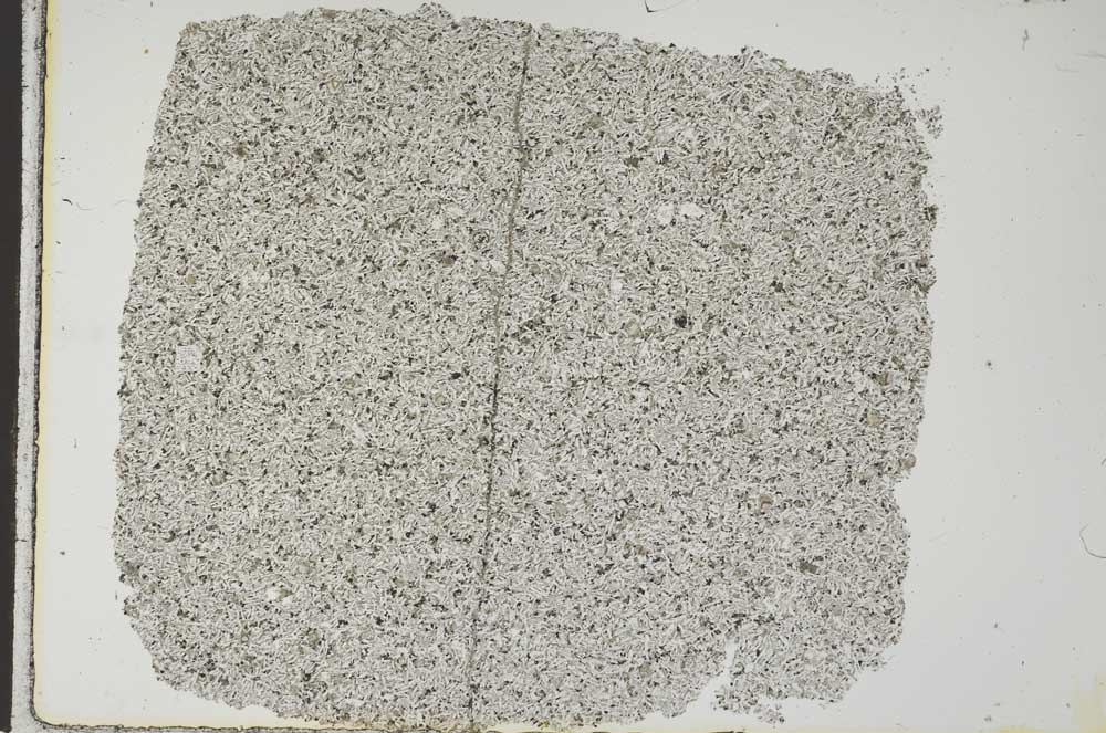 Plane Polarized, S28618