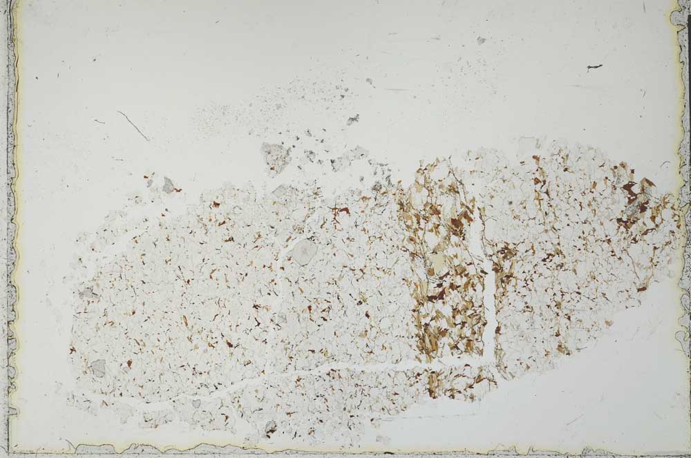 Plane Polarized, S28619