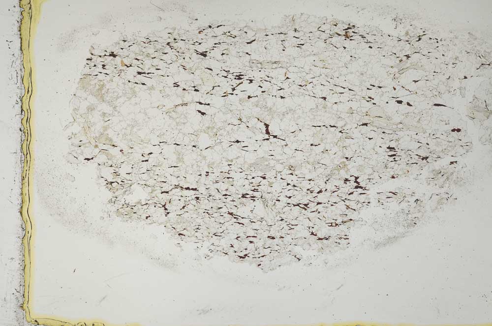 Plane Polarized, S28626