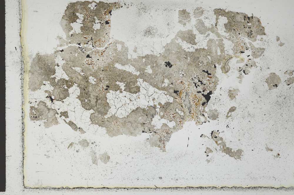 Plane Polarized, S28631