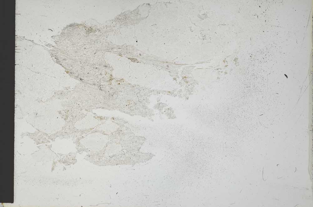 Plane Polarized, S28643