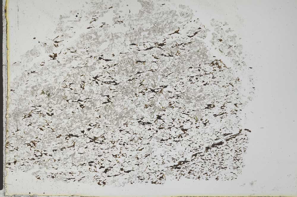 Plane Polarized, S28664
