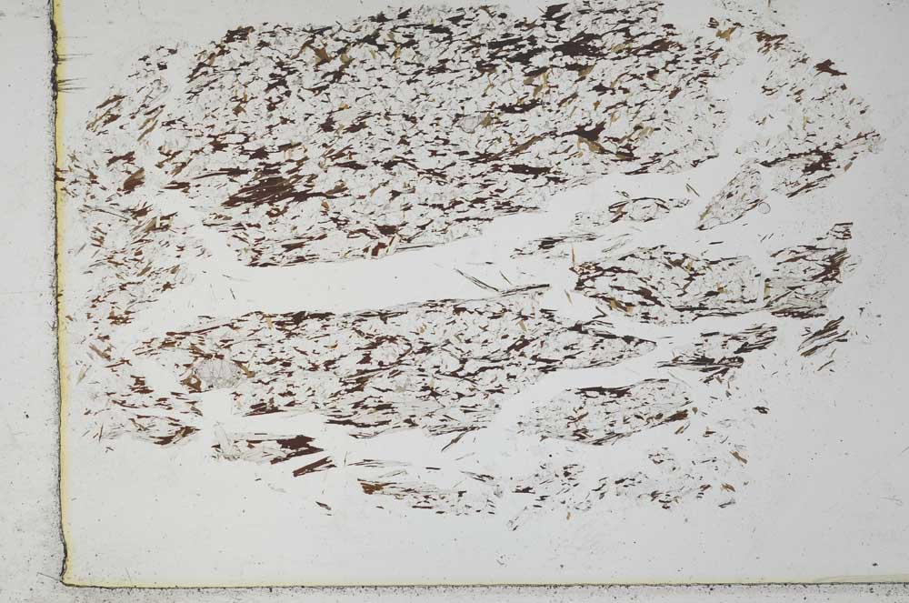 Plane Polarized, S28669
