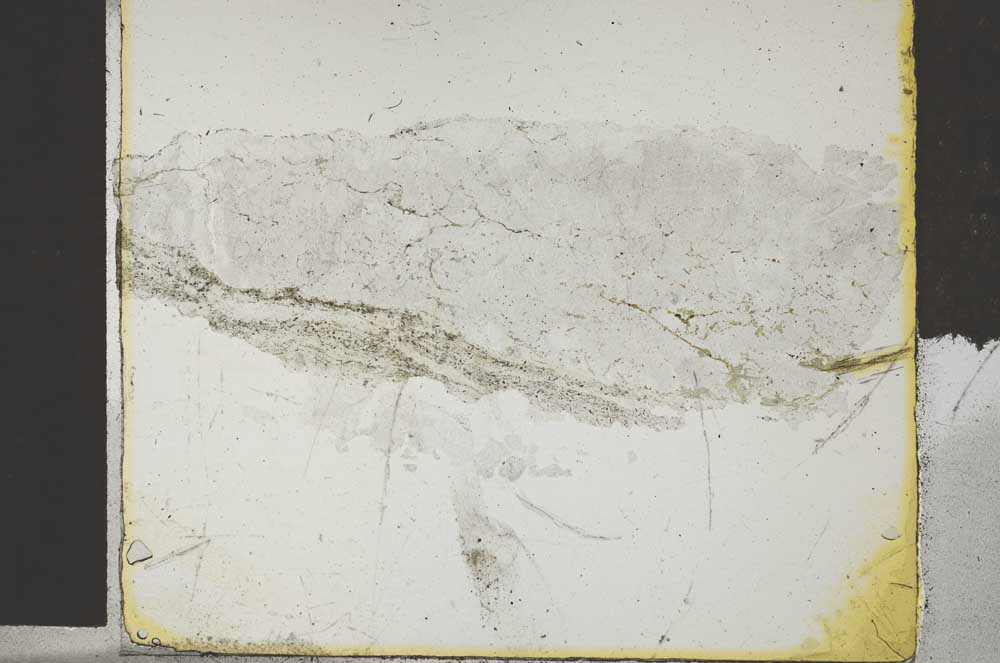 Plane Polarized, S28712