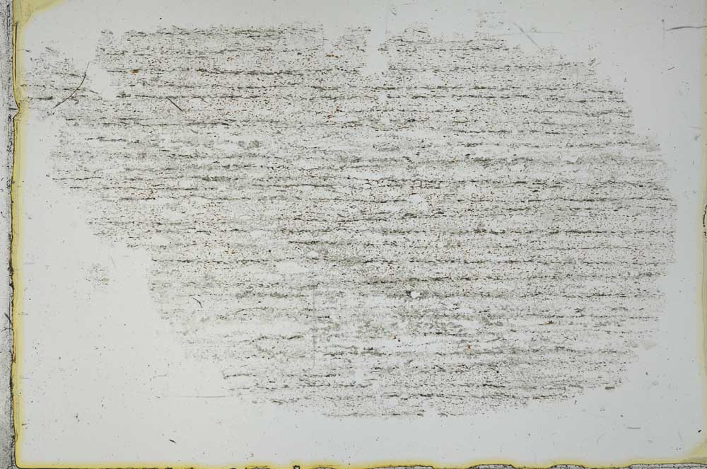 Plane Polarized, S28715