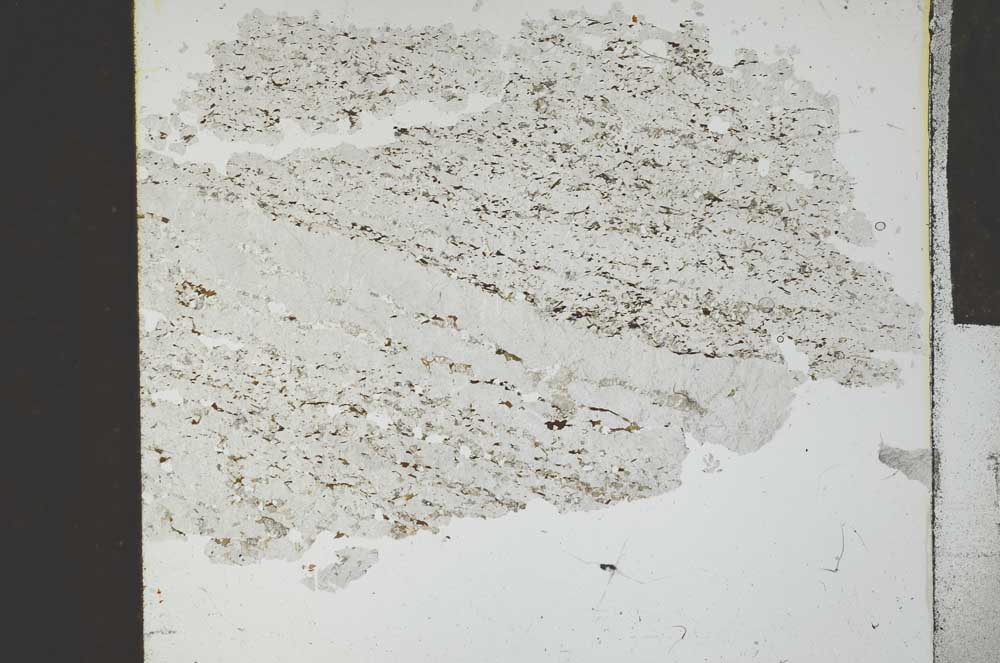 Plane Polarized, S28728
