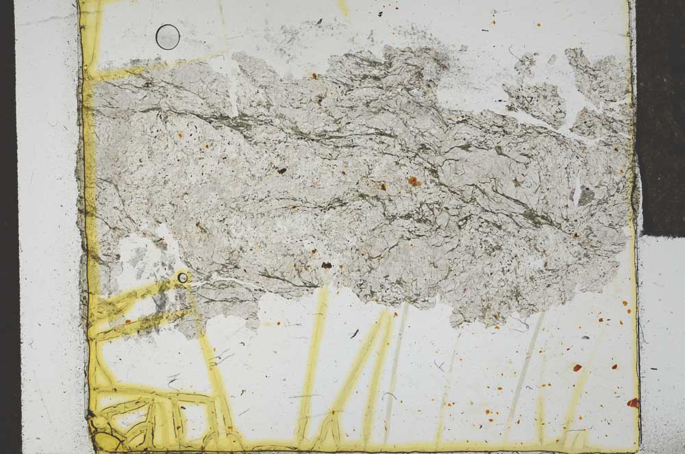 Plane Polarized, S28729