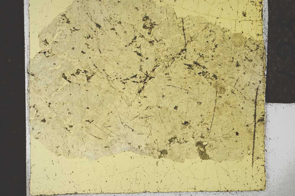 Plane Polarized, S28734