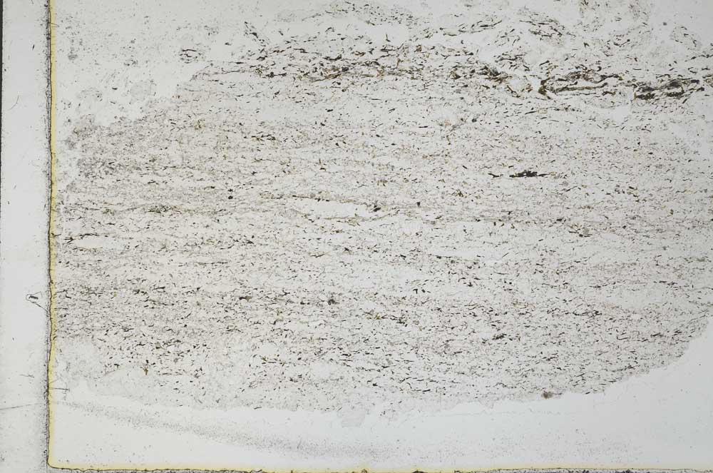 Plane Polarized, S28740