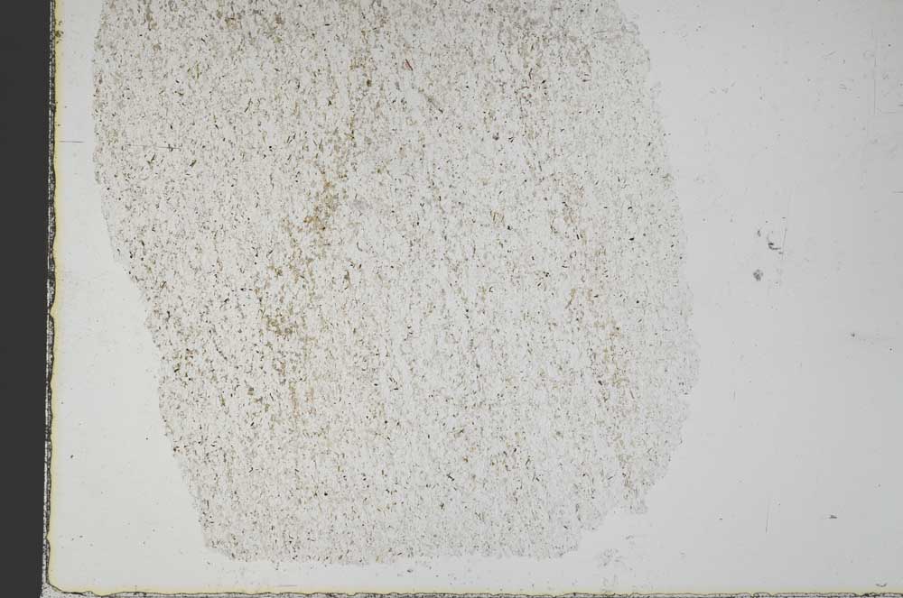 Plane Polarized, S28741