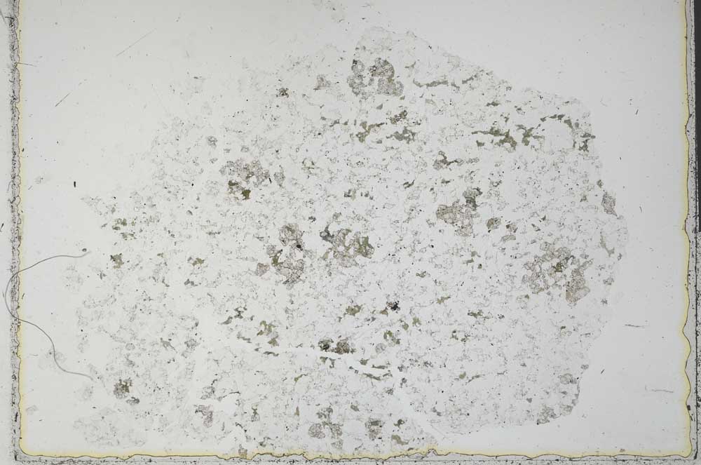 Plane Polarized, S28748