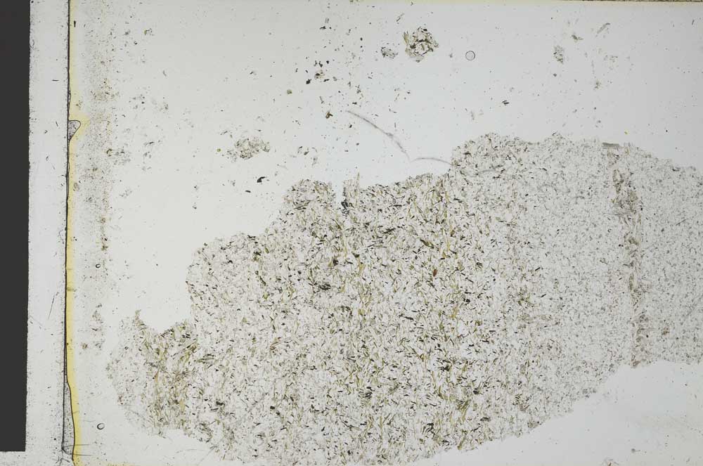 Plane Polarized, S28749