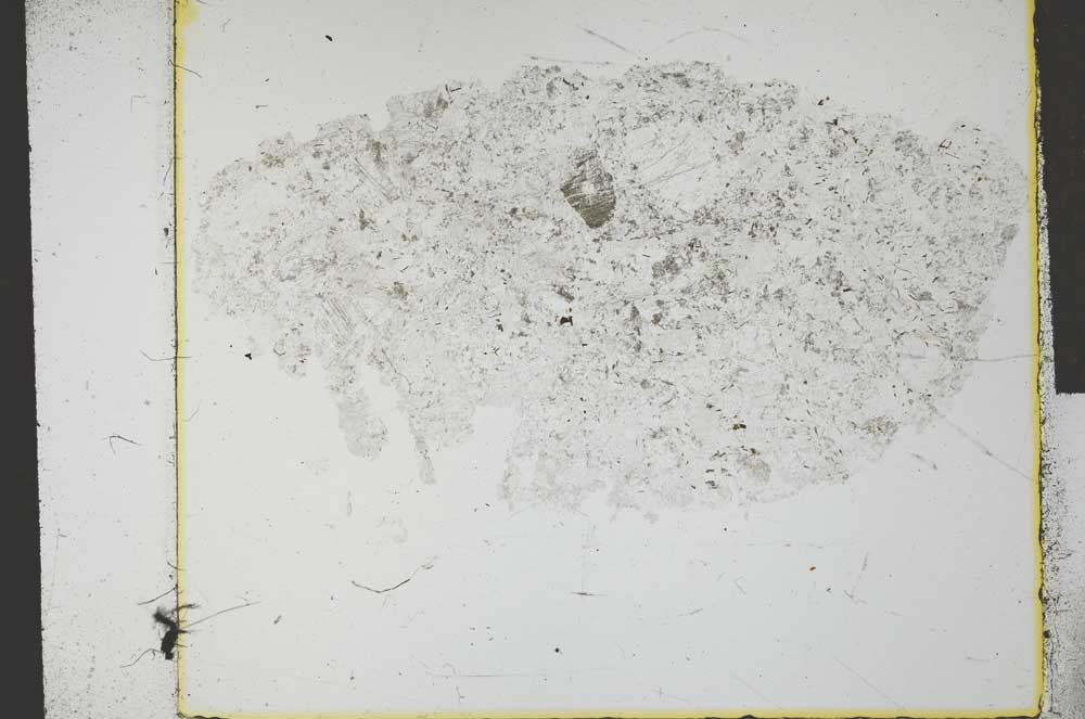 Plane Polarized, S28772