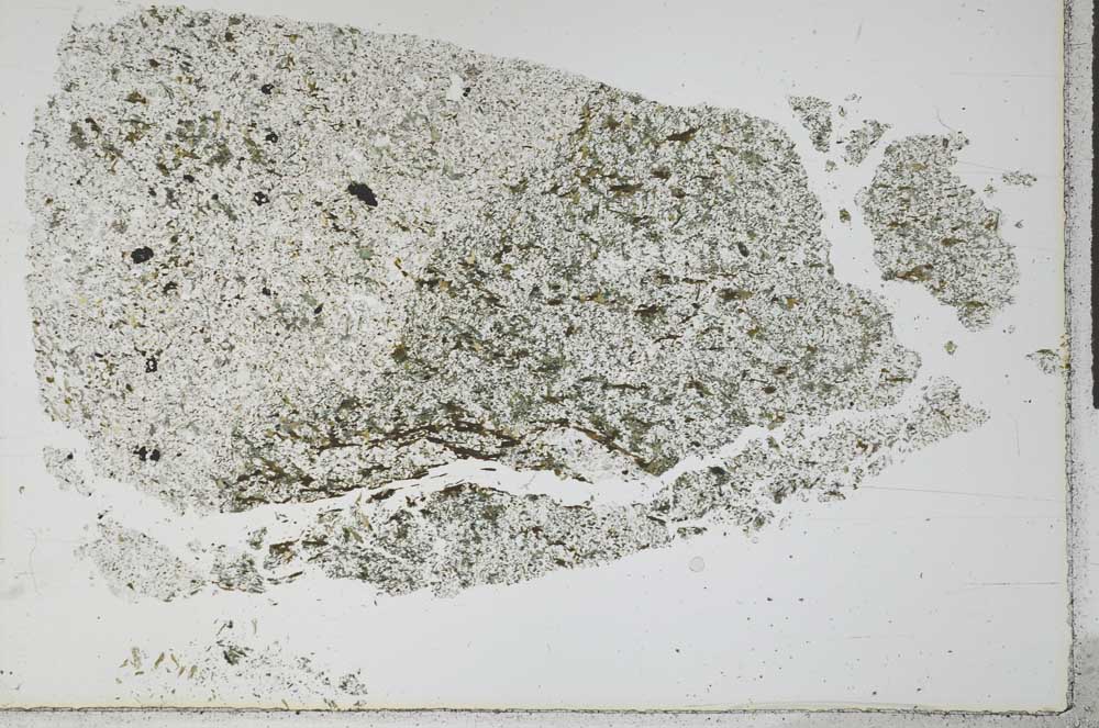 Plane Polarized, S28796